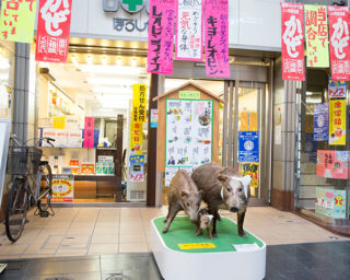 ぼうしや薬局 本店