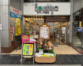 ぼうしや薬局 本店